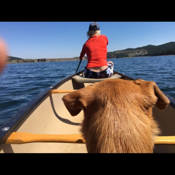 Meet your Posher, Dana - Picture 2 of 7